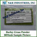 Powder Form Organic Barley Grass Powder 80mesh to 200mesh without dextrin